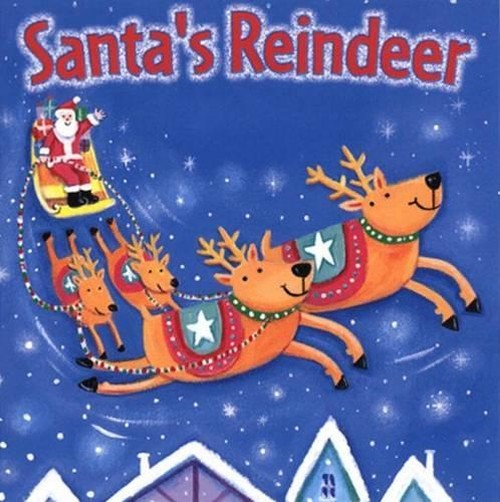 Generic Christmas Board Book Rei