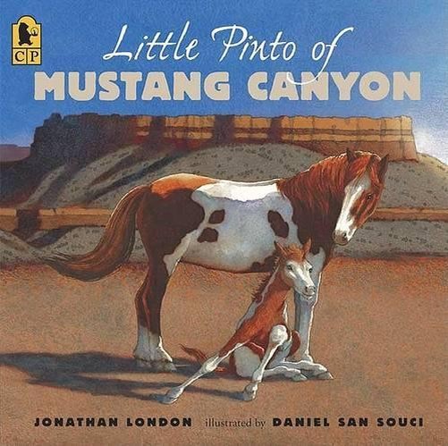 Little Pinto Of Mustang Canyon Midi