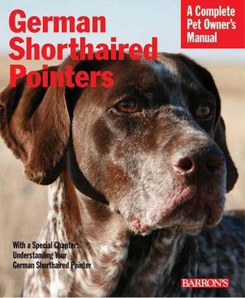 German Shorthaired Pointers