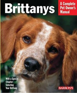 Brittanys