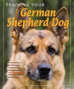 Training Your German Shepherd
