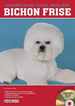 Bichon Frise