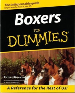 Boxers for Dummies