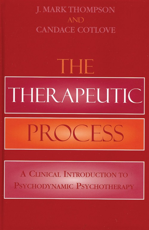 The Therapeutic Process
