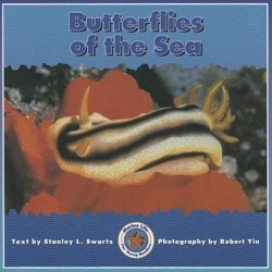Butterflies of the Sea