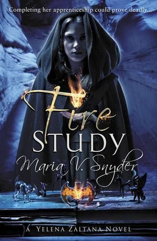 Fire Study