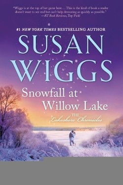 Snowfall at Willow Lake