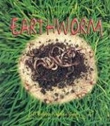 The Life Cycle of the Earthworm