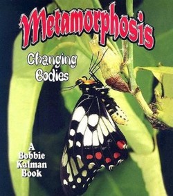Metamorphosis