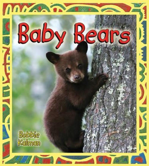 Baby Bears