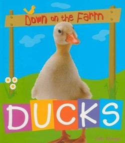 Ducks