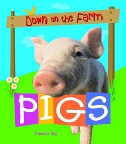 Pigs