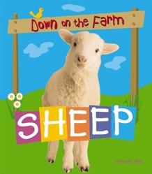 Sheep