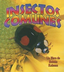 Insectos Comunes