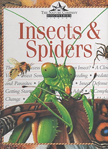 Insects & Spiders