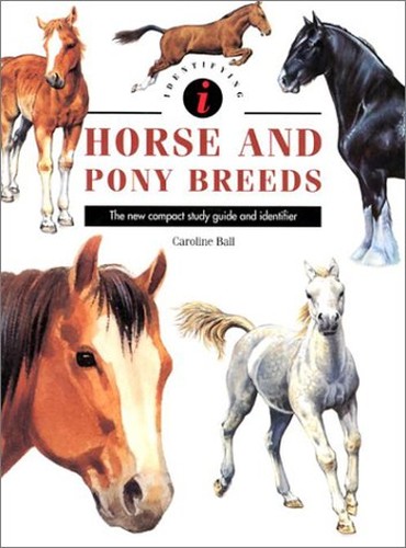 Identifying Horse & Pony Breeds
