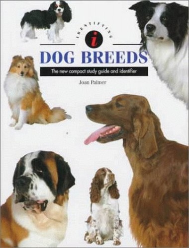 Identifying Dog Breeds