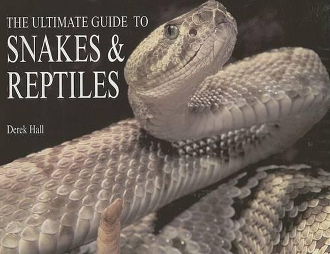 The Ultimate Guide to Snakes & Reptiles