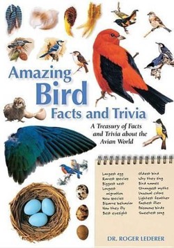Amazing Bird Facts and Trivia