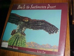 Here is the Southwestern Desert