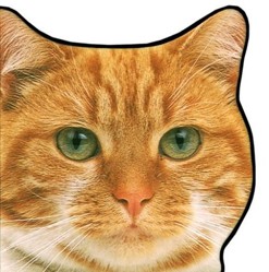 Cats and Kittens (Shaped Books)