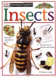 Insects