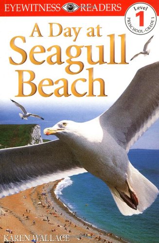 A Day at Seagull Beach