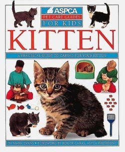 Kitten