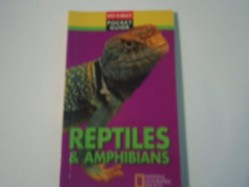 Reptiles and Amphibians