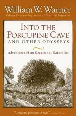 Into the Porcupine Cave and Other Odysseys