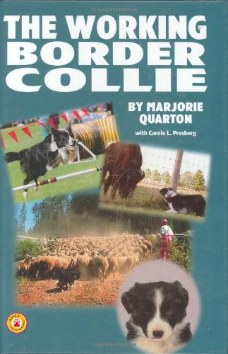 The Working Border Collie