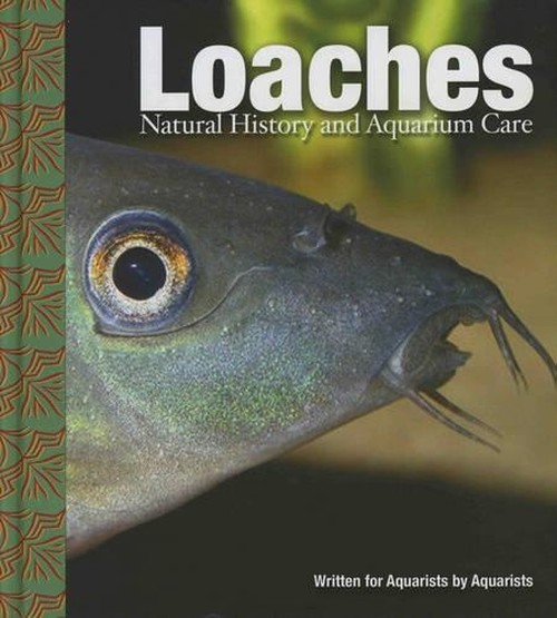 Loaches