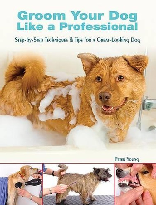 Groom Your Dog Like a Professional