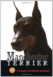 Manchester Terrier