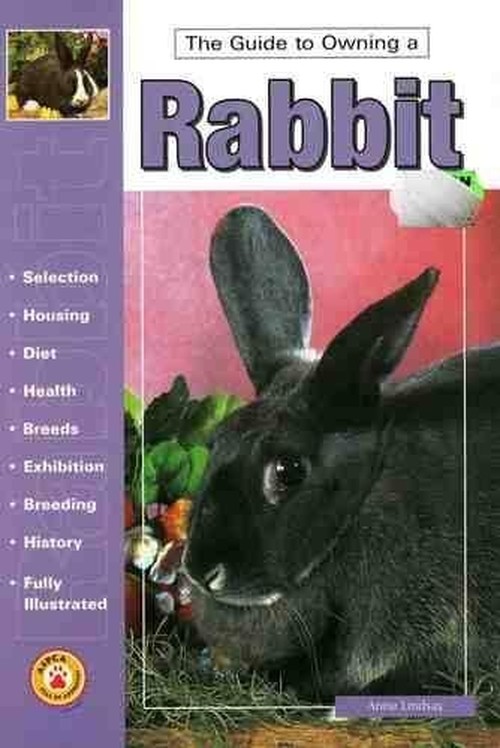 Guide to Owning a Rabbit
