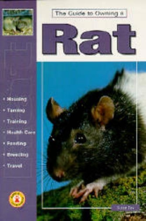 Guide to Owning a Rat