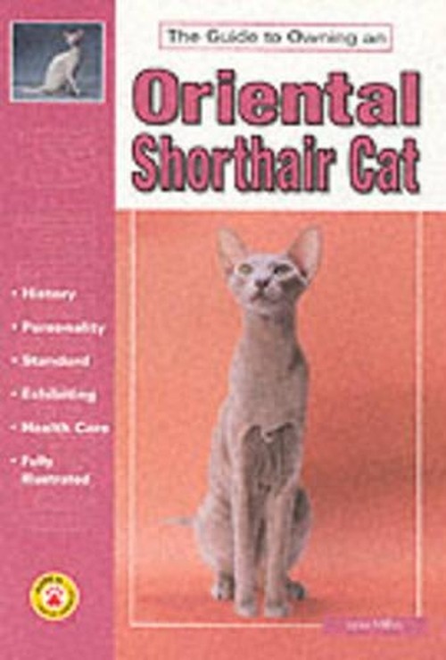 The Guide to Owning an Oriental Shorthair Cat