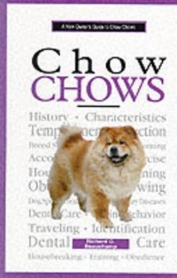 A New Owner's Guide to Chow Chows