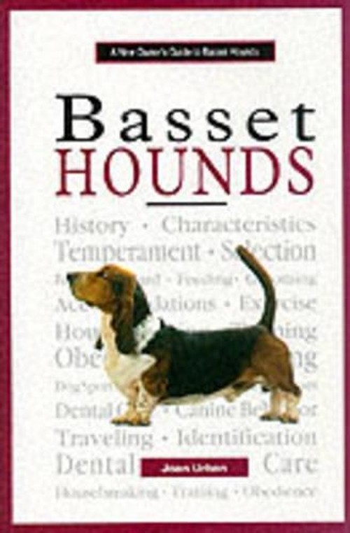 A New Owner's Guide to Basset Hounds