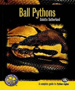 Ball Pythons