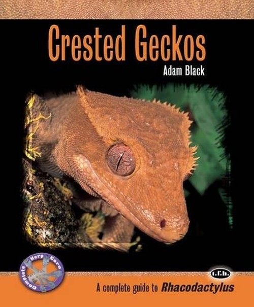 Crested Geckos