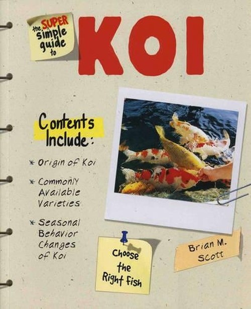 The Super Simple Guide to Koi