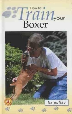 How to Train Your Boxer