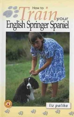 How to Train Your English Springer Spaniel