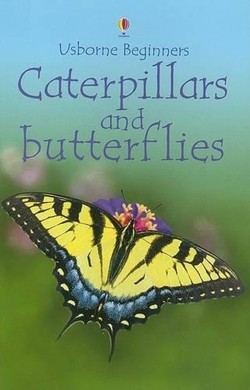 Caterpillars and Butterflies