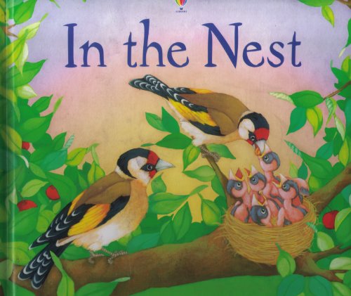 In the Nest
