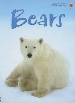 Bears