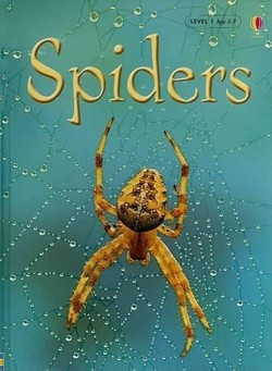 Spiders