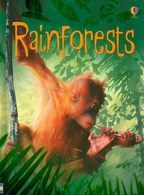 Rainforests