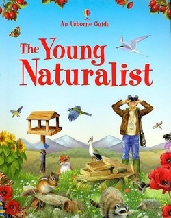 The Young Naturalist